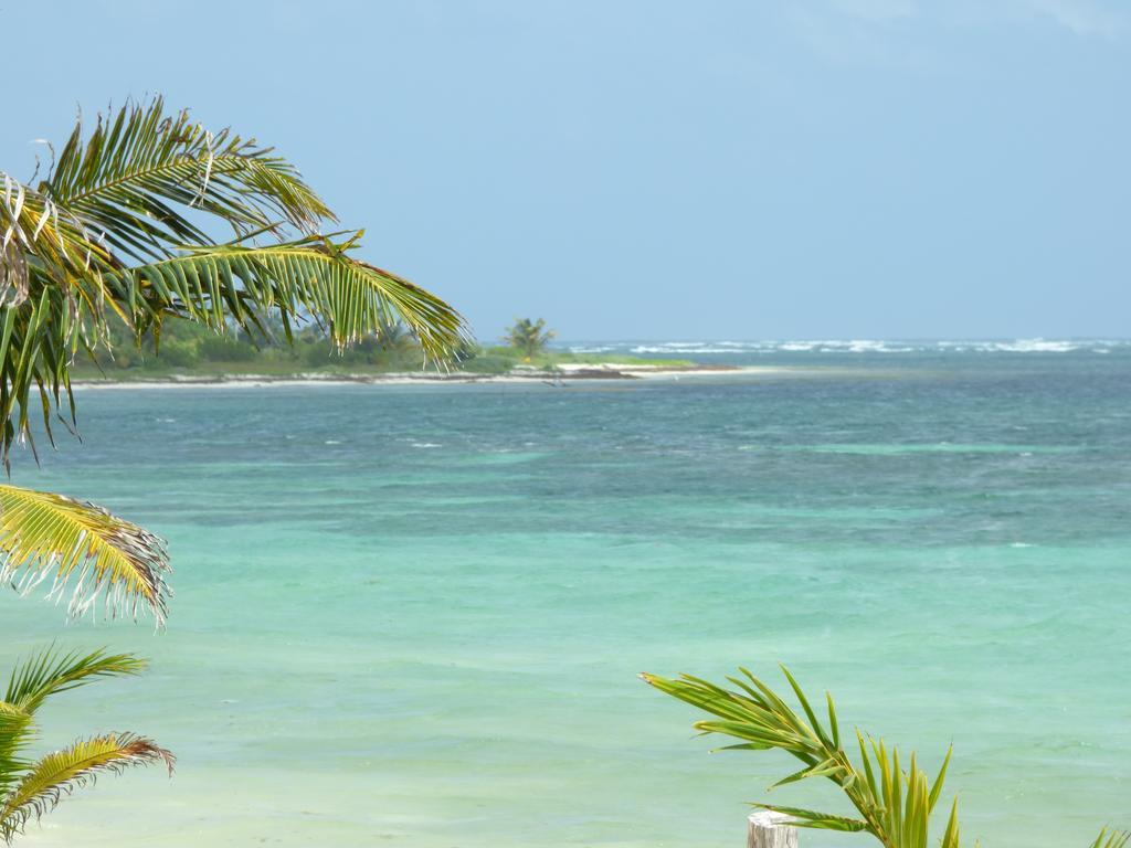 Mayan Beach Garden El Placer المظهر الخارجي الصورة
