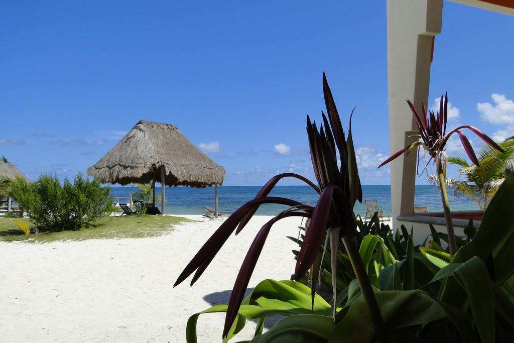 Mayan Beach Garden El Placer المظهر الخارجي الصورة