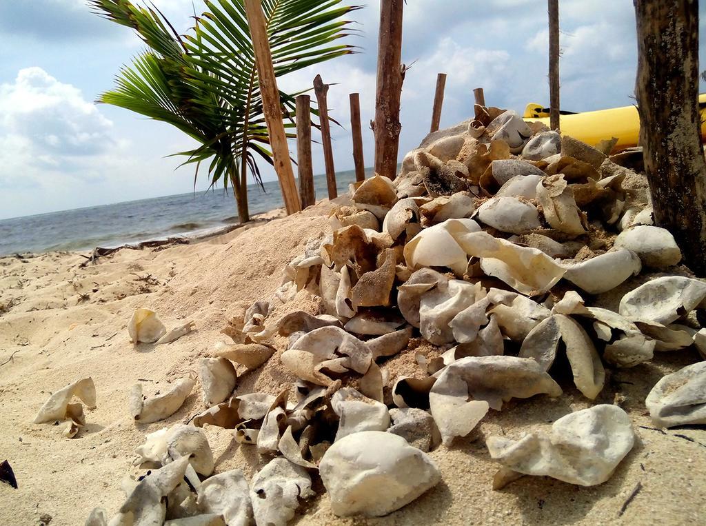 Mayan Beach Garden El Placer المظهر الخارجي الصورة